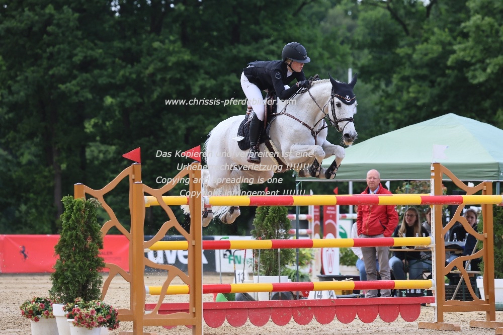 Preview ava ferch mit quintessa lox IMG_1958.jpg